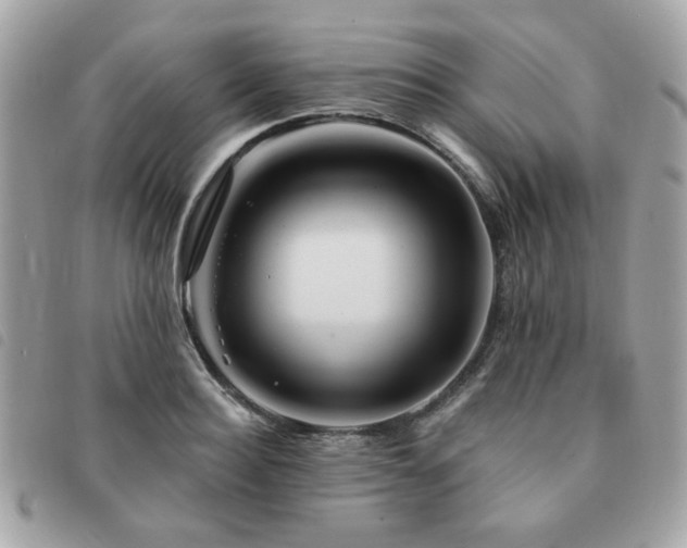 X0000091530940200708171217
