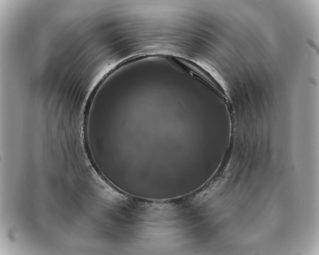 X0000091530941200708171217
