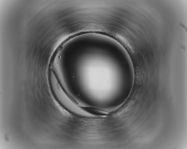 X0000091530942200708171217