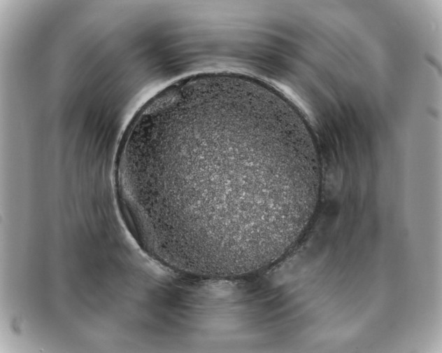 X0000091530943200708171217
