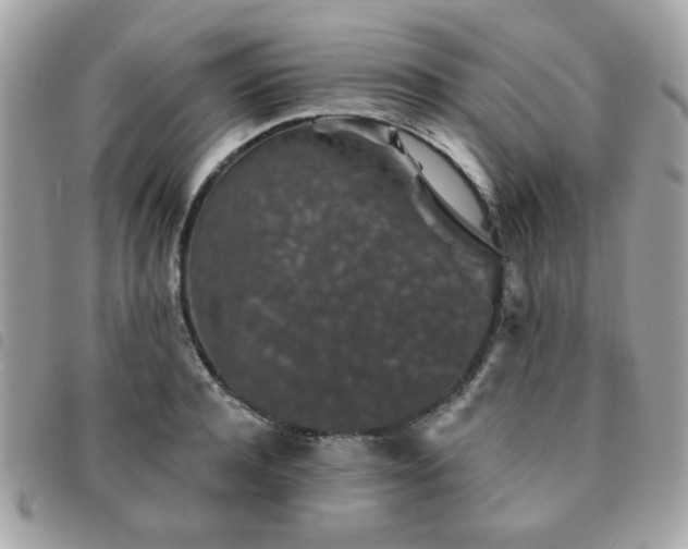 X0000091530944200708171217