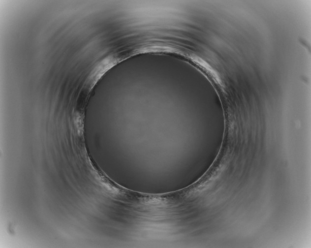 X0000091530945200708171217