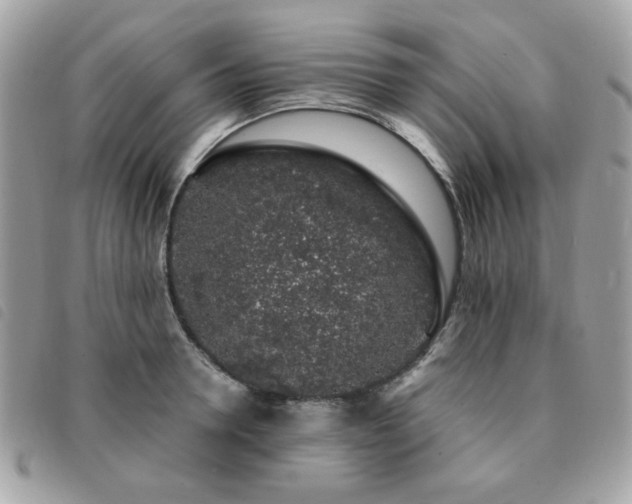 X0000091530946200708171218