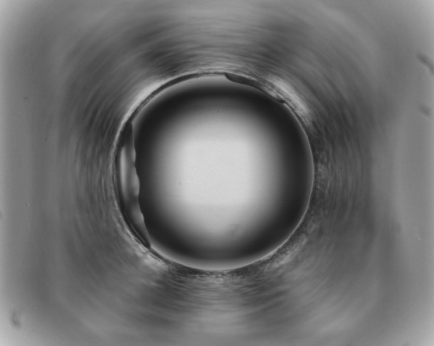 X0000091530948200708171218