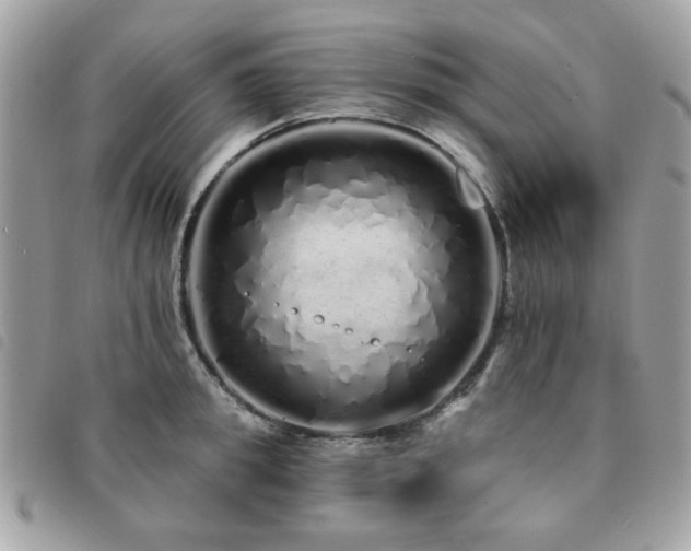 X0000091530949200708171218