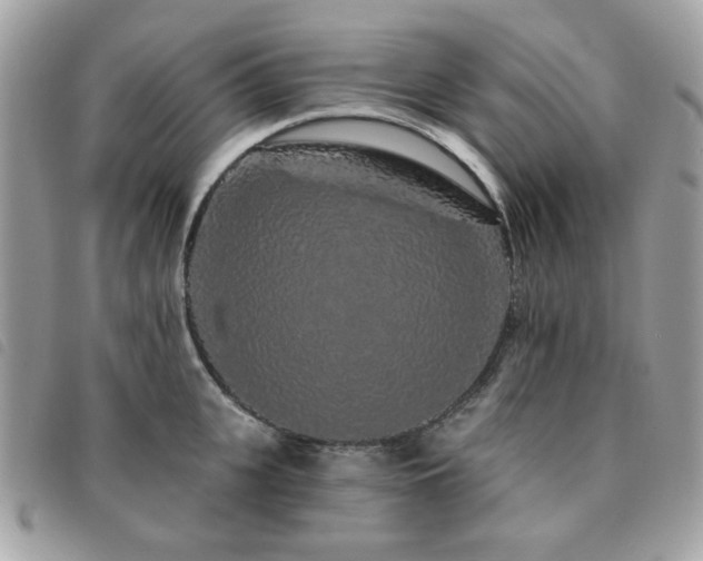 X0000091530951200708171218