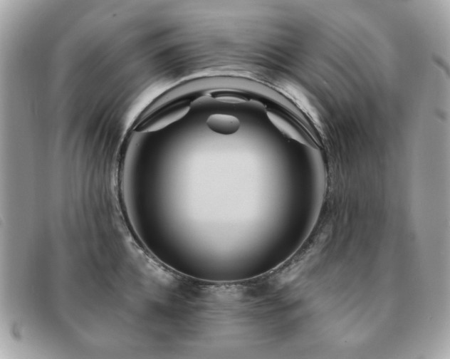 X0000091530952200708171218