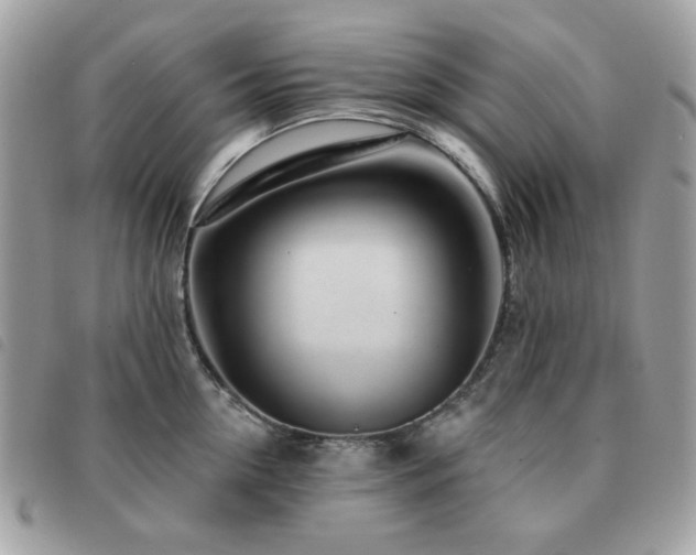 X0000091530954200708171218