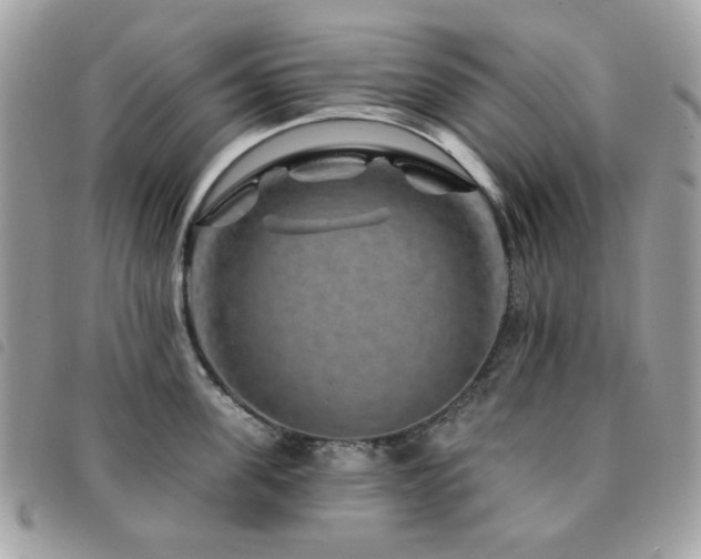 X0000091530955200708171218
