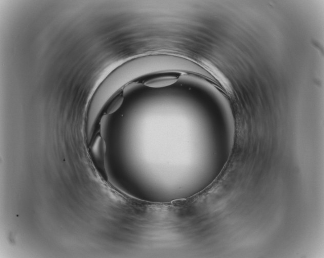 X0000091530956200708171218