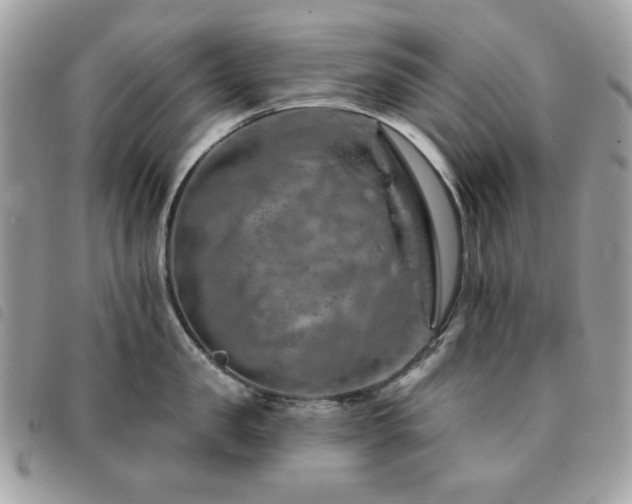 X0000091530957200708171218