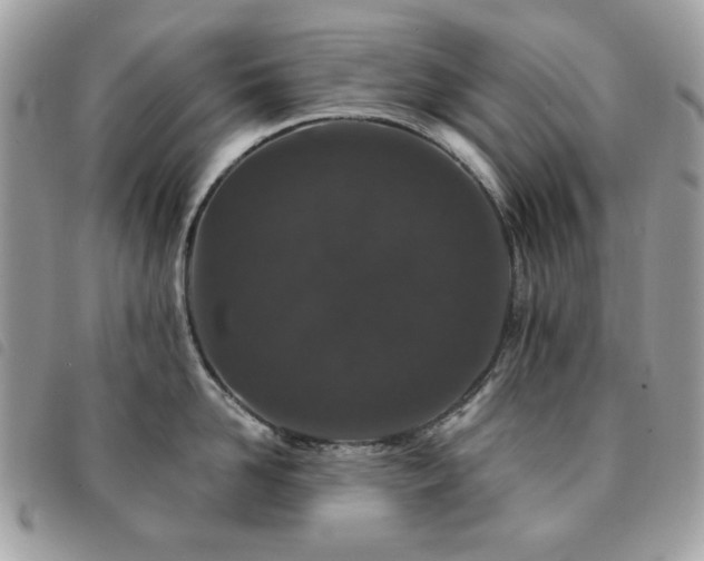 X0000091530958200708171218