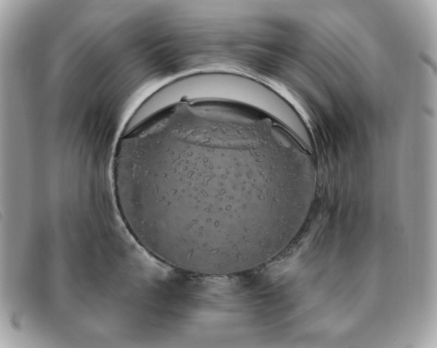 X0000091530959200708171218