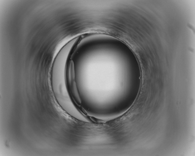 X0000091530960200708171218