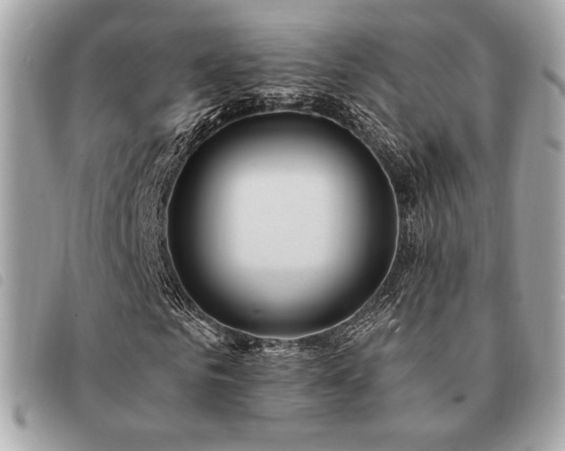 X0000091530961200708171217