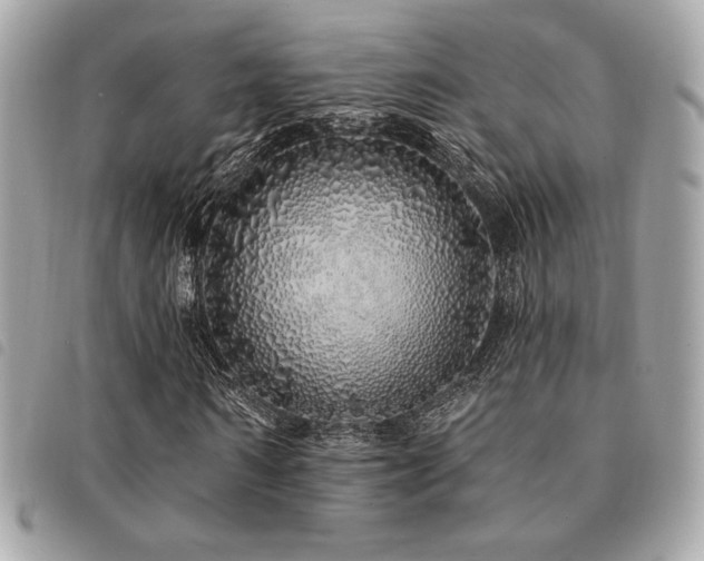 X0000091530962200708171217