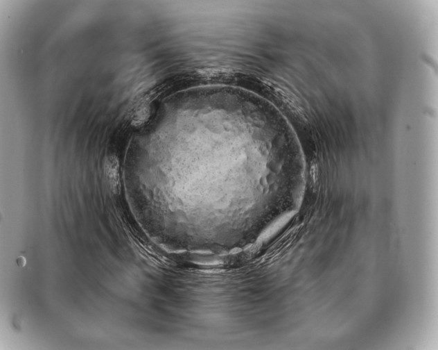 X0000091530963200708171217