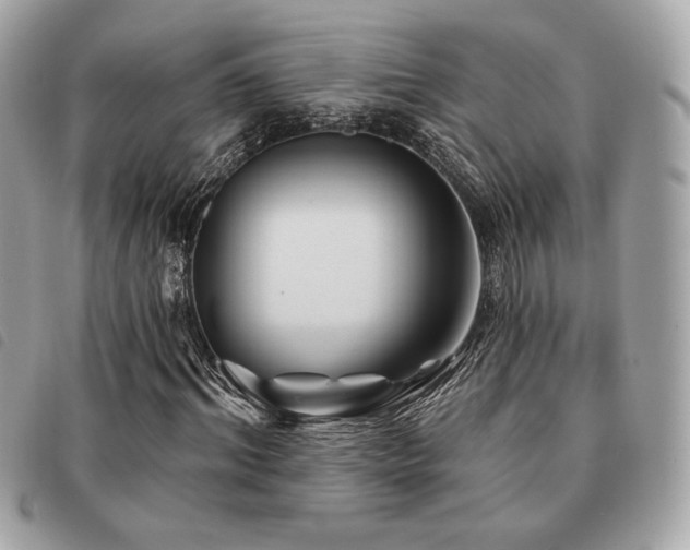 X0000091530964200708171217