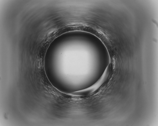 X0000091530965200708171217