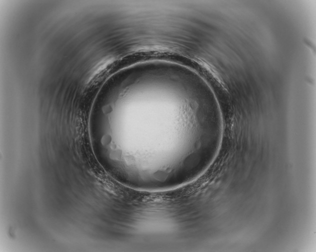 X0000091530967200708171217