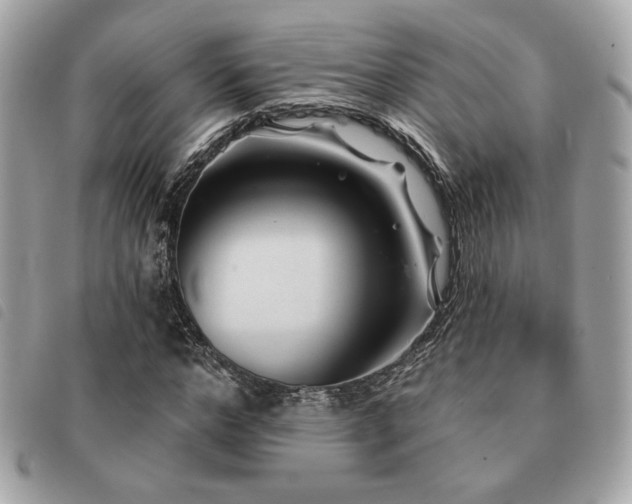 X0000091530968200708171217