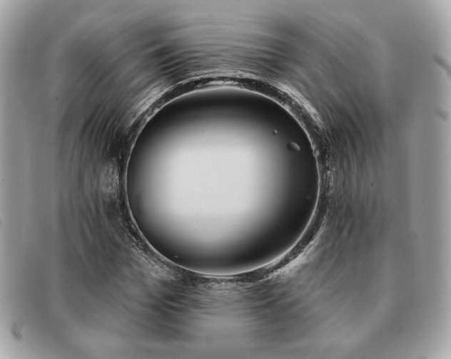 X0000091530969200708171217