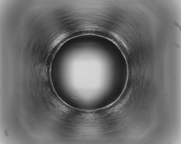 X0000091530970200708171217
