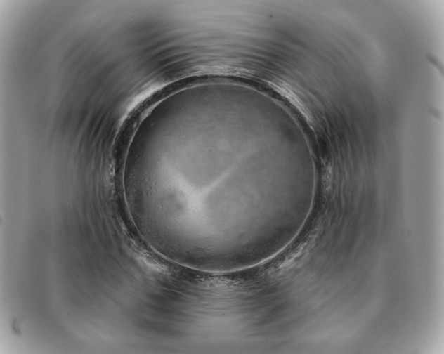 X0000091530971200708171217