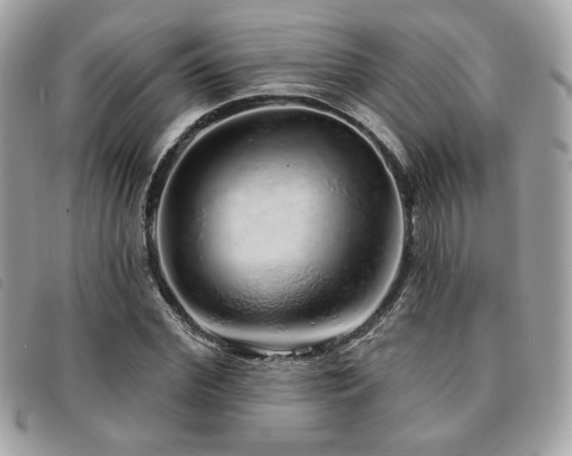 X0000091530972200708171217