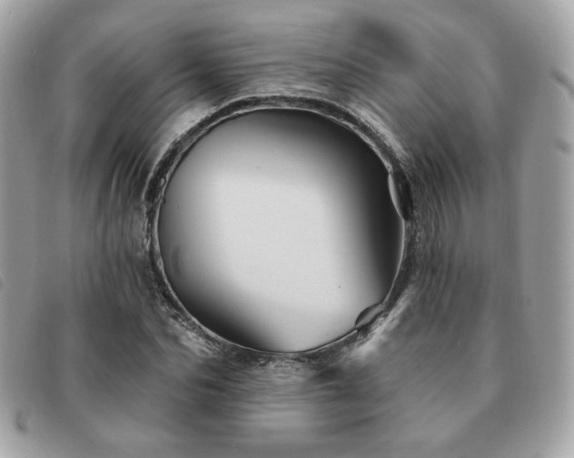 X0000091530974200708171217