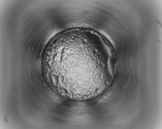 X0000091530975200708171217