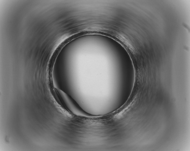 X0000091530976200708171217