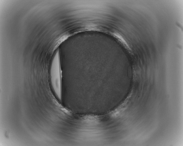 X0000091530977200708171217