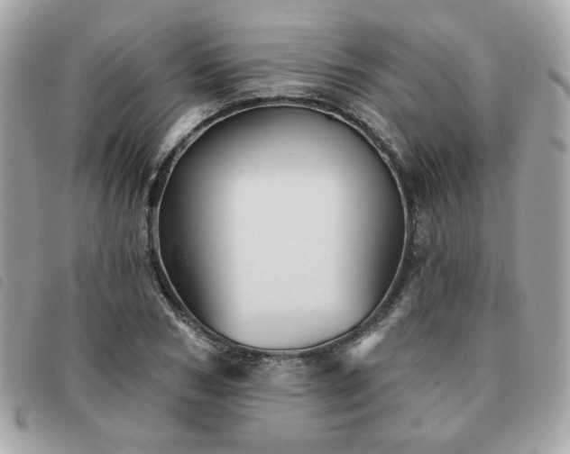 X0000091530978200708171217