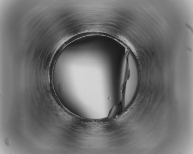 X0000091530980200708171217