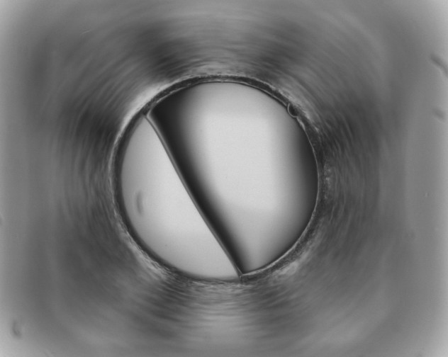 X0000091530981200708171217