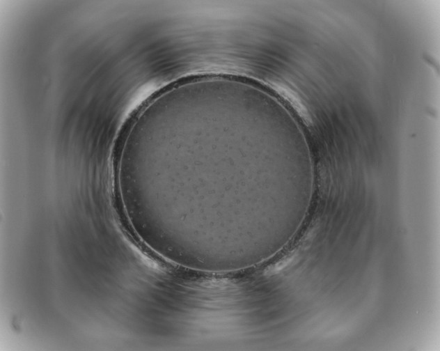 X0000091530982200708171217
