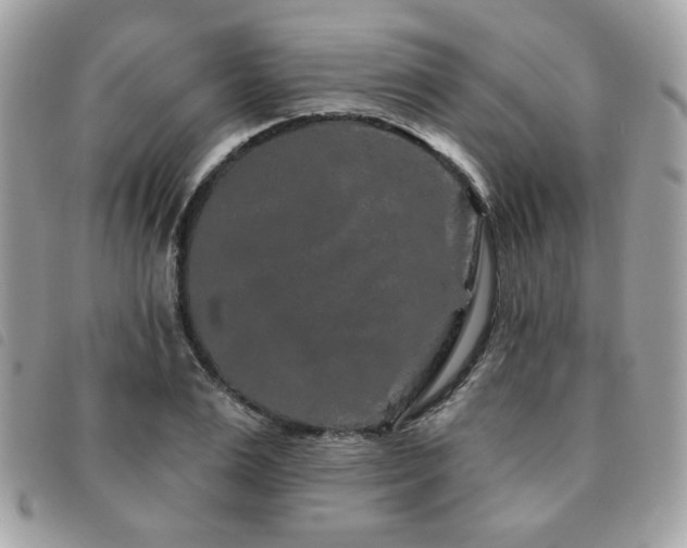 X0000091530983200708171217