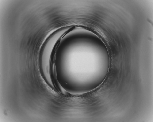 X0000091530984200708171217