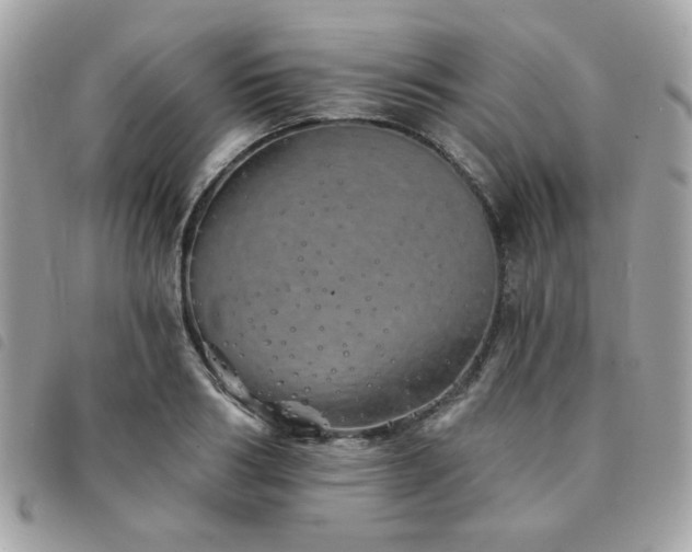 X0000091530986200708171217
