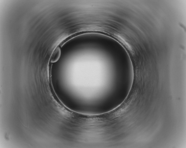X0000091530988200708171217