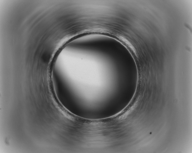 X0000091530989200708171216