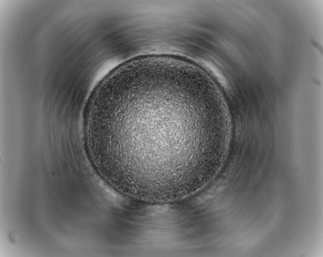 X0000091530990200708171216