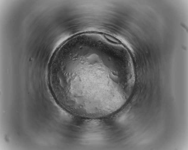 X0000091530991200708171216