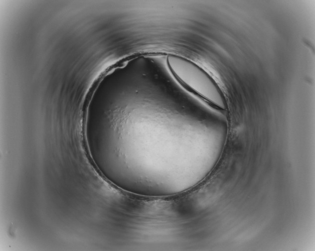 X0000091530992200708171216