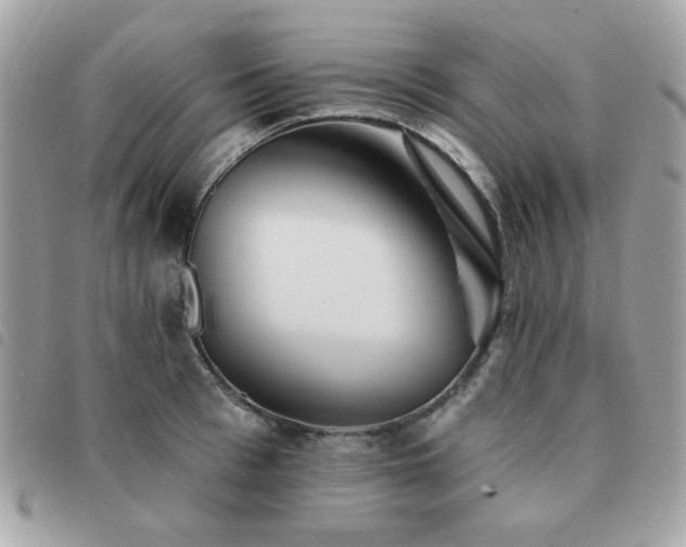X0000091530993200708171216