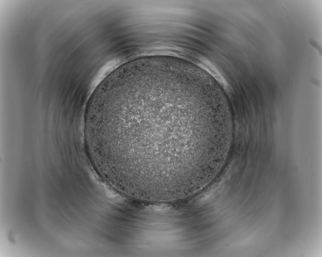 X0000091530994200708171216
