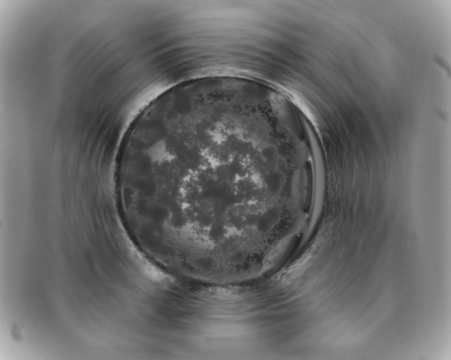 X0000091530995200708171216