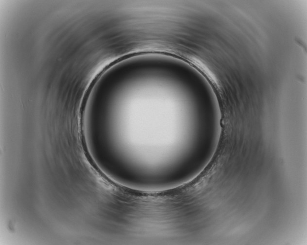 X0000091530996200708171216