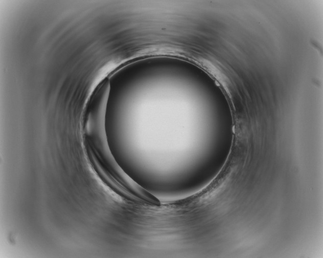 X0000091530997200708171216